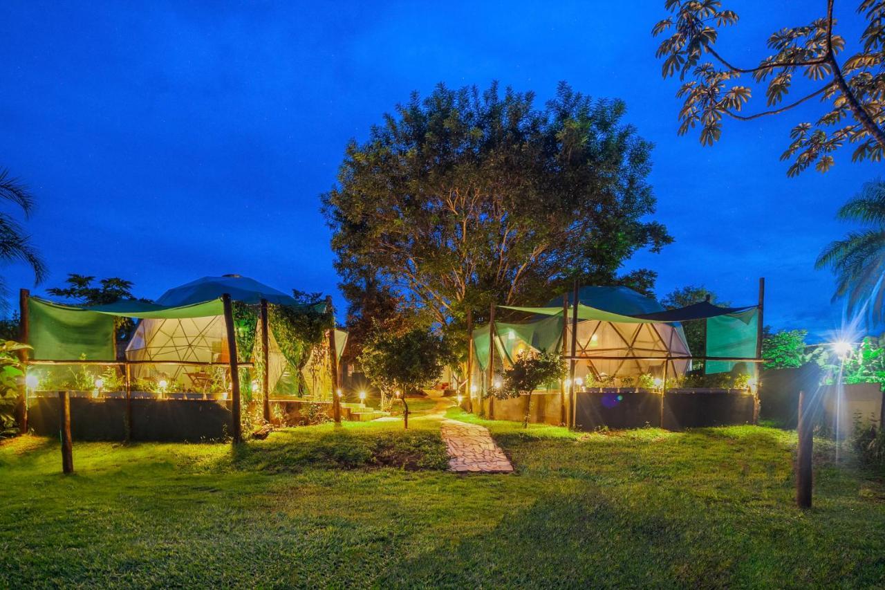 Glamping Serra Da Canastra - Casinha De Hortela - Domo Embauba Delfinópolis 外观 照片
